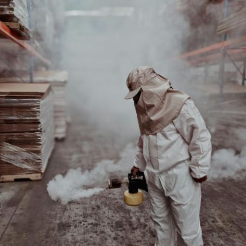 Fumigation Services